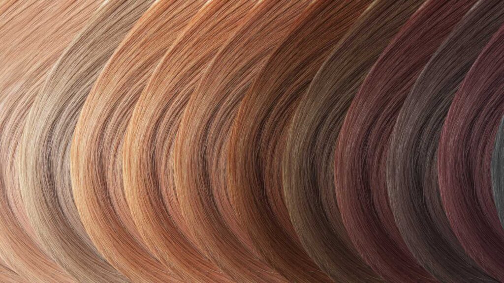 The Hair Colour Wheel: A Guide to Understanding Your Hair’s True Colours - Image 4