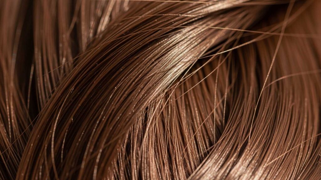 The pH Factor: Essential Insights for Human and Pet Shampoo Formulation - Image 1